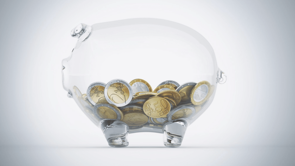 Introduction of Euro