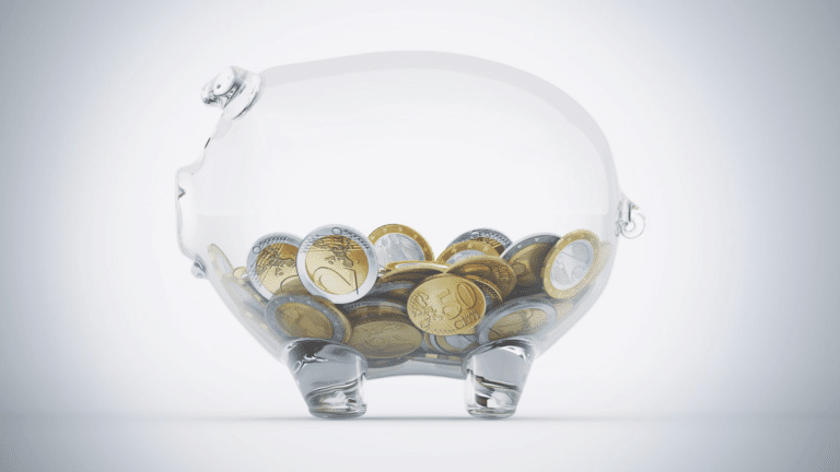 Introduction of Euro